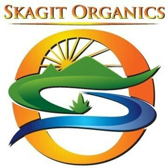 Skagit Organics - Lemon OG RSO