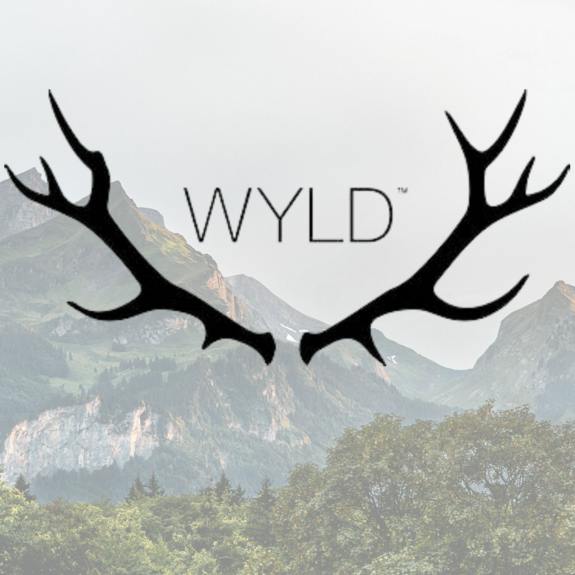 Wyld - Huckleberry Hybrid Gummies 10pk