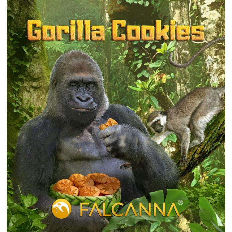 Falcanna - Gorilla Cookies Live Resin Ceramic Cartridge