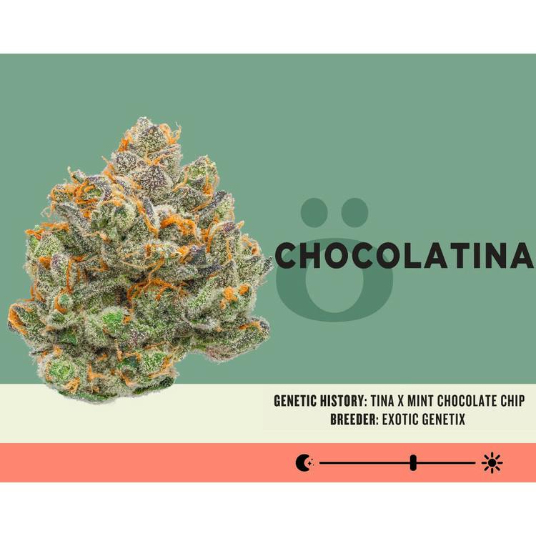 Chocolatina