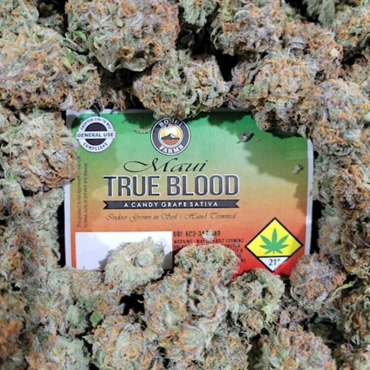 Maui Trueblood