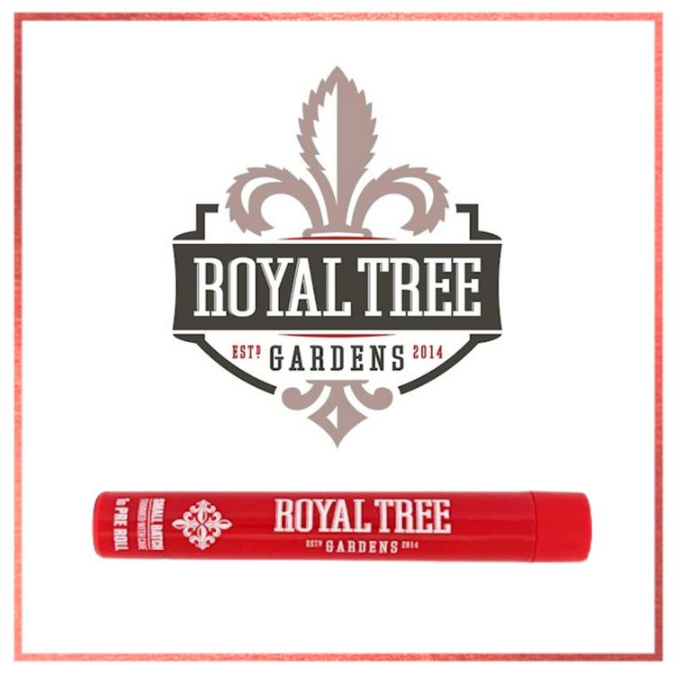 Royal Tree Gardens - Lemon Royale Infused Joint