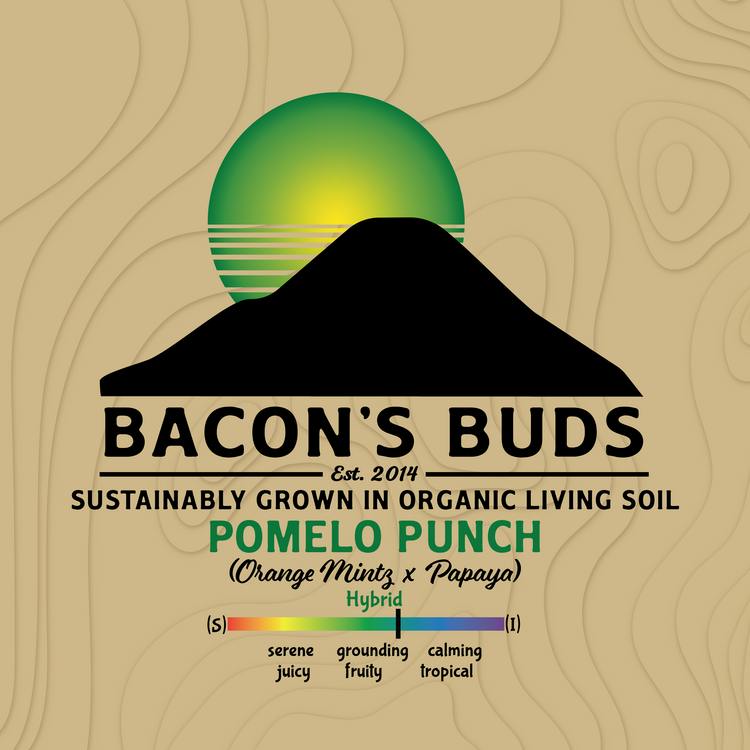 Bacon's Buds - Pomelo Punch Blunt