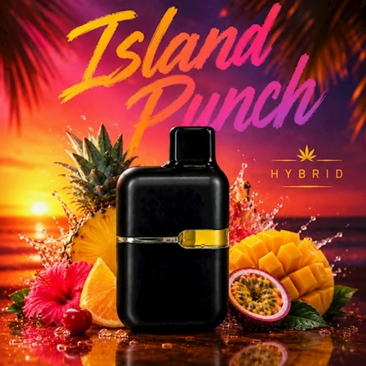 Two Heads - Island Punch Flavored Disposable