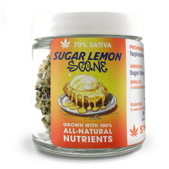 Sugar Lemon Scone