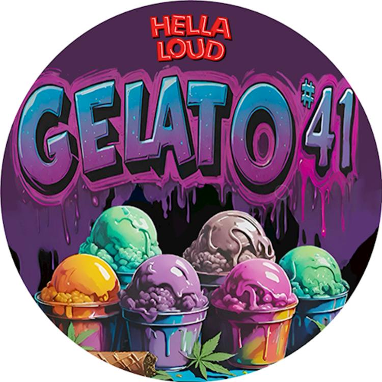 Gelato 41