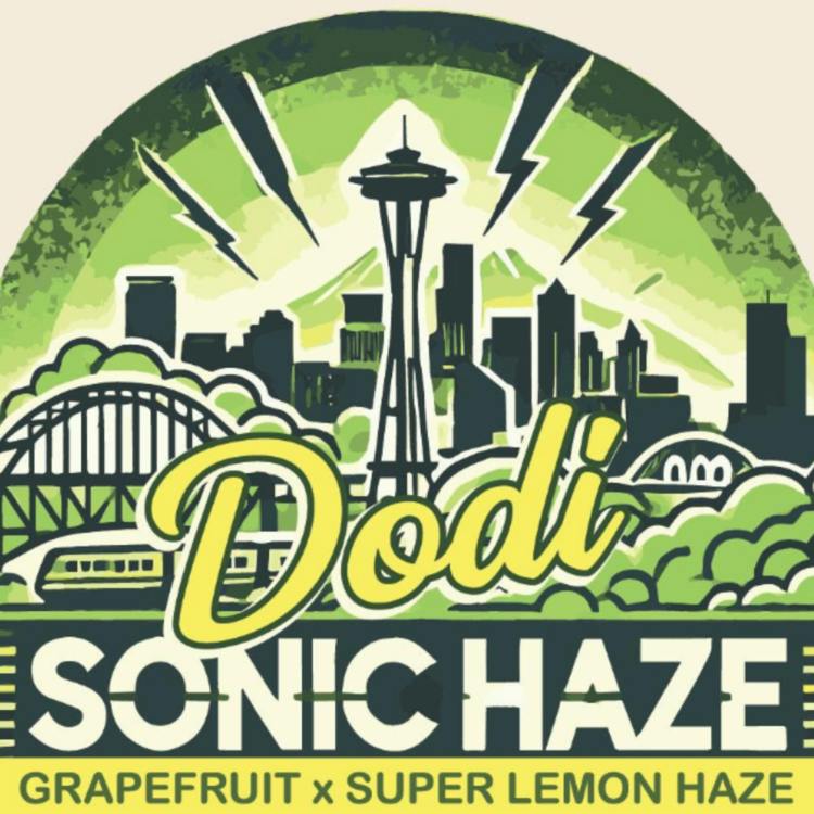 Sonic Haze