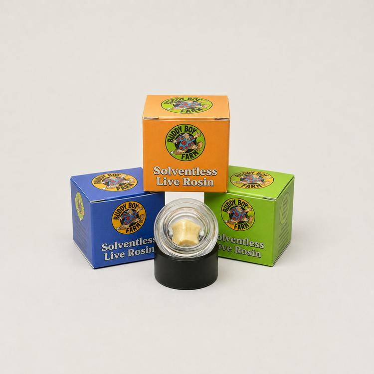 Buddy Boy - Sofa Surfer Hash Rosin