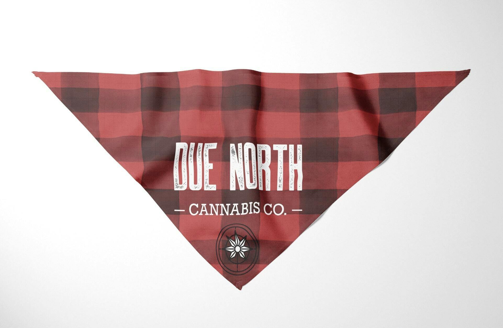 Plaid Medium