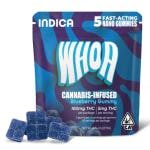 BLUEBERRY - FAST ACTING NANO 5PK (I) (5PK)