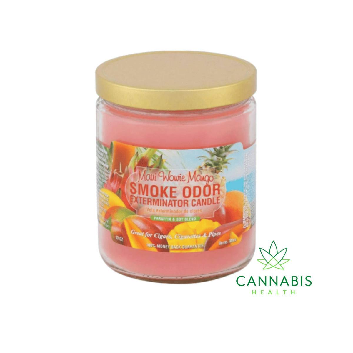 Smoke Odor | Mango | Candle