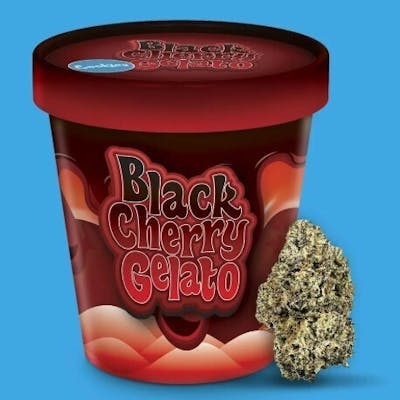 INDOOR — Black Cherry Gelato