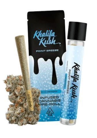 INFUSED PREROLL: Point Breeze