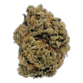 Jet Fuel - Connoisseur