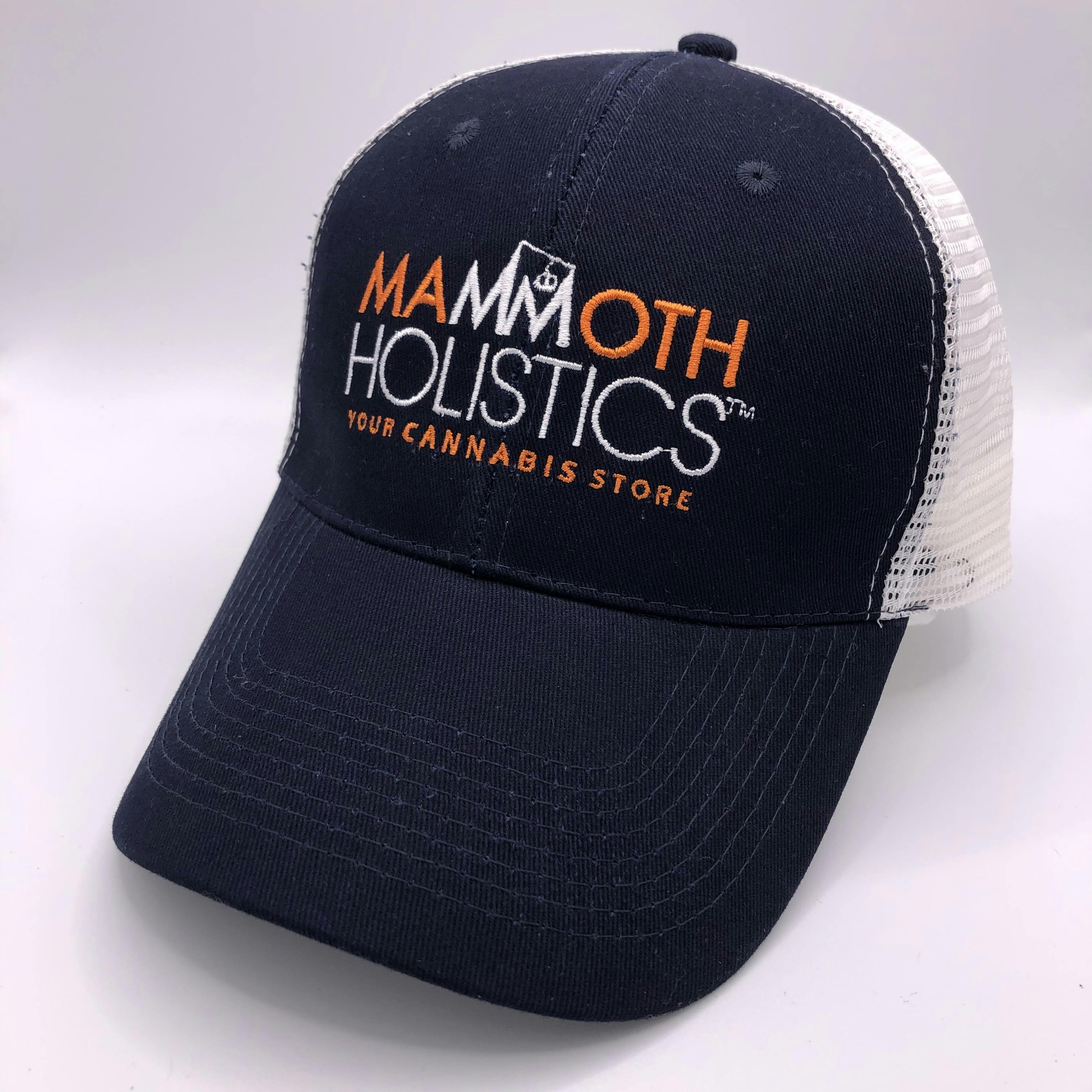 BLUE AND WHITE MAMMOTH HOLISTICS HAT