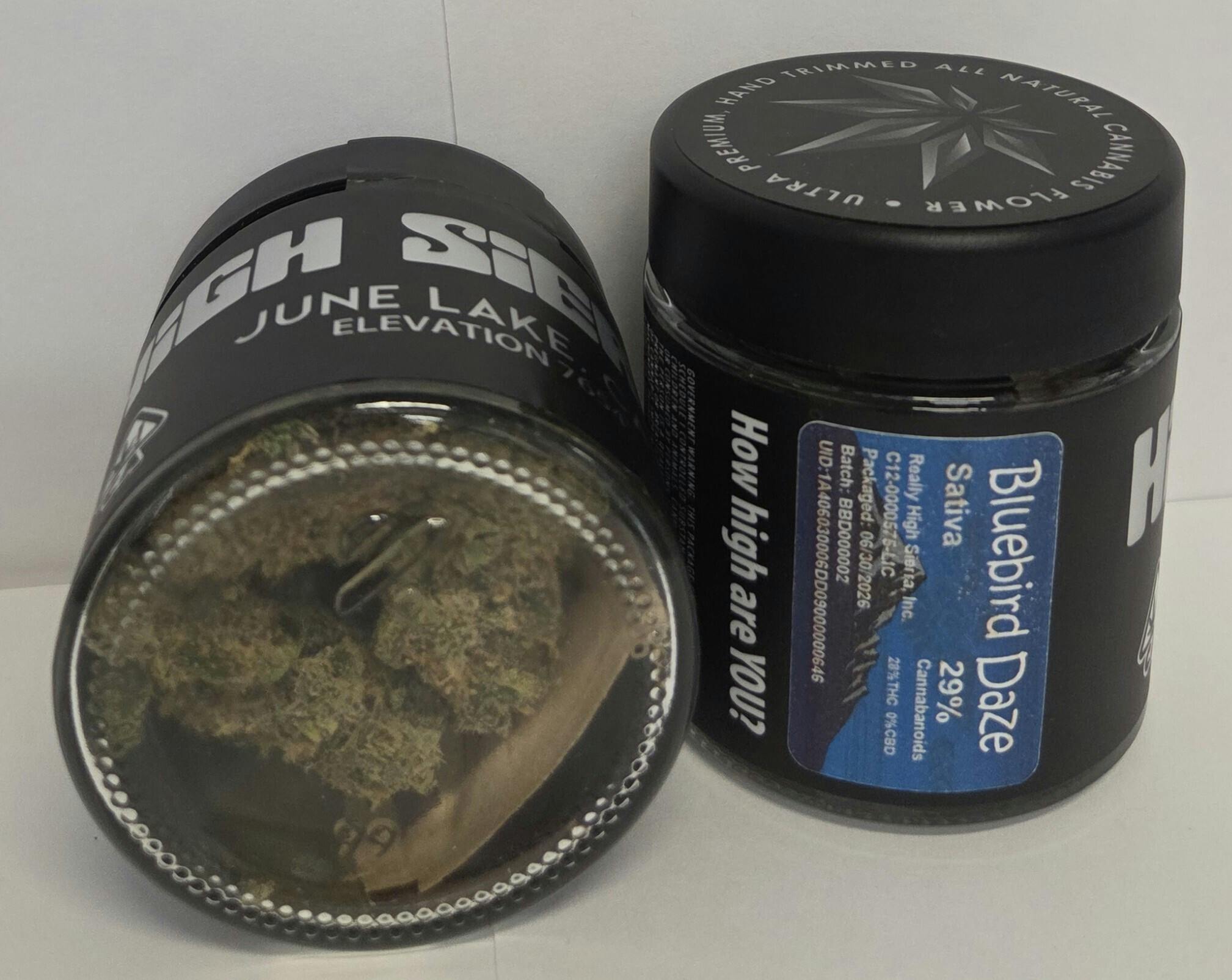 Bluebird Daze -: 3.5G