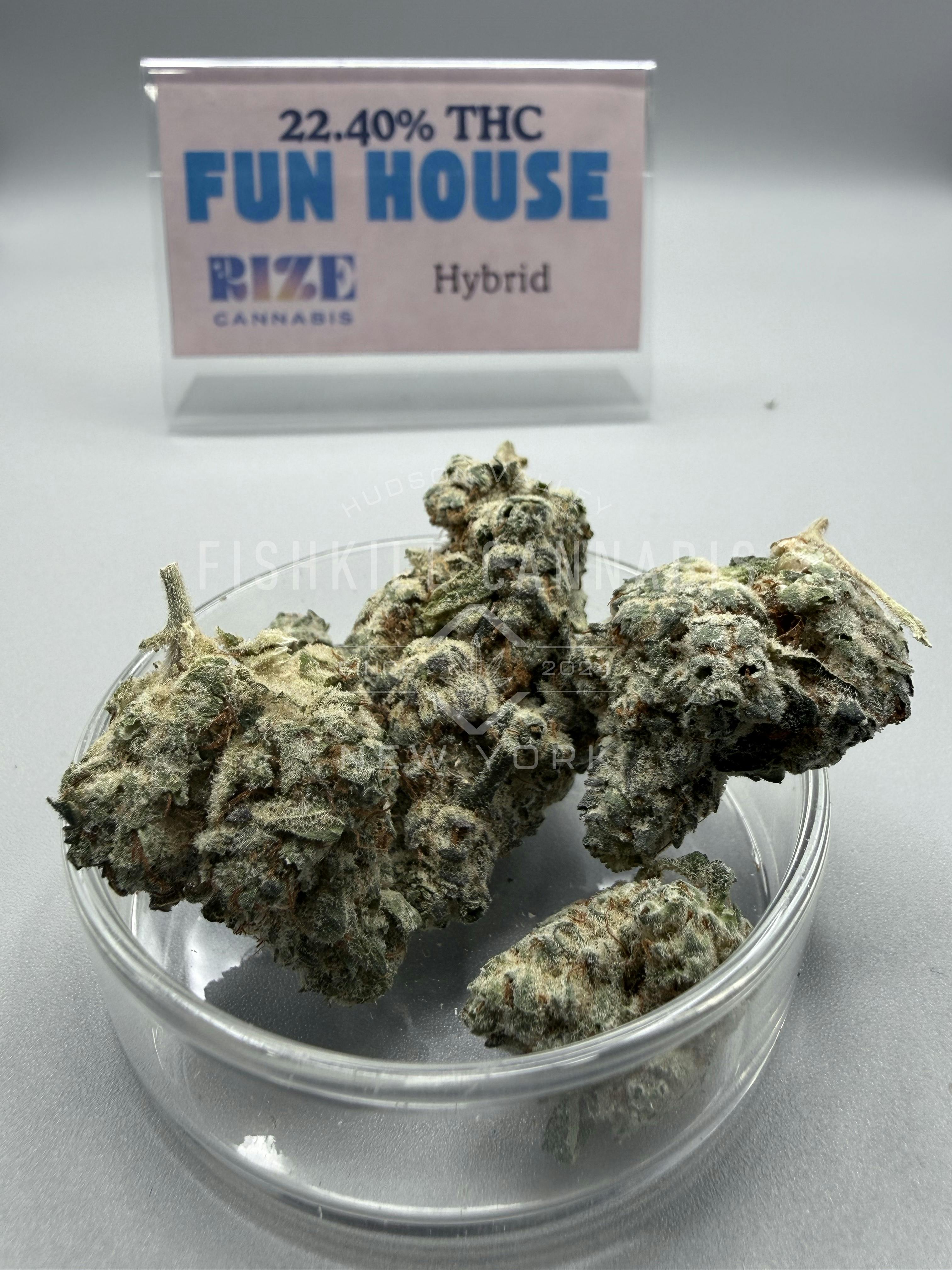 Fun House - 3.5g Flower - Rize