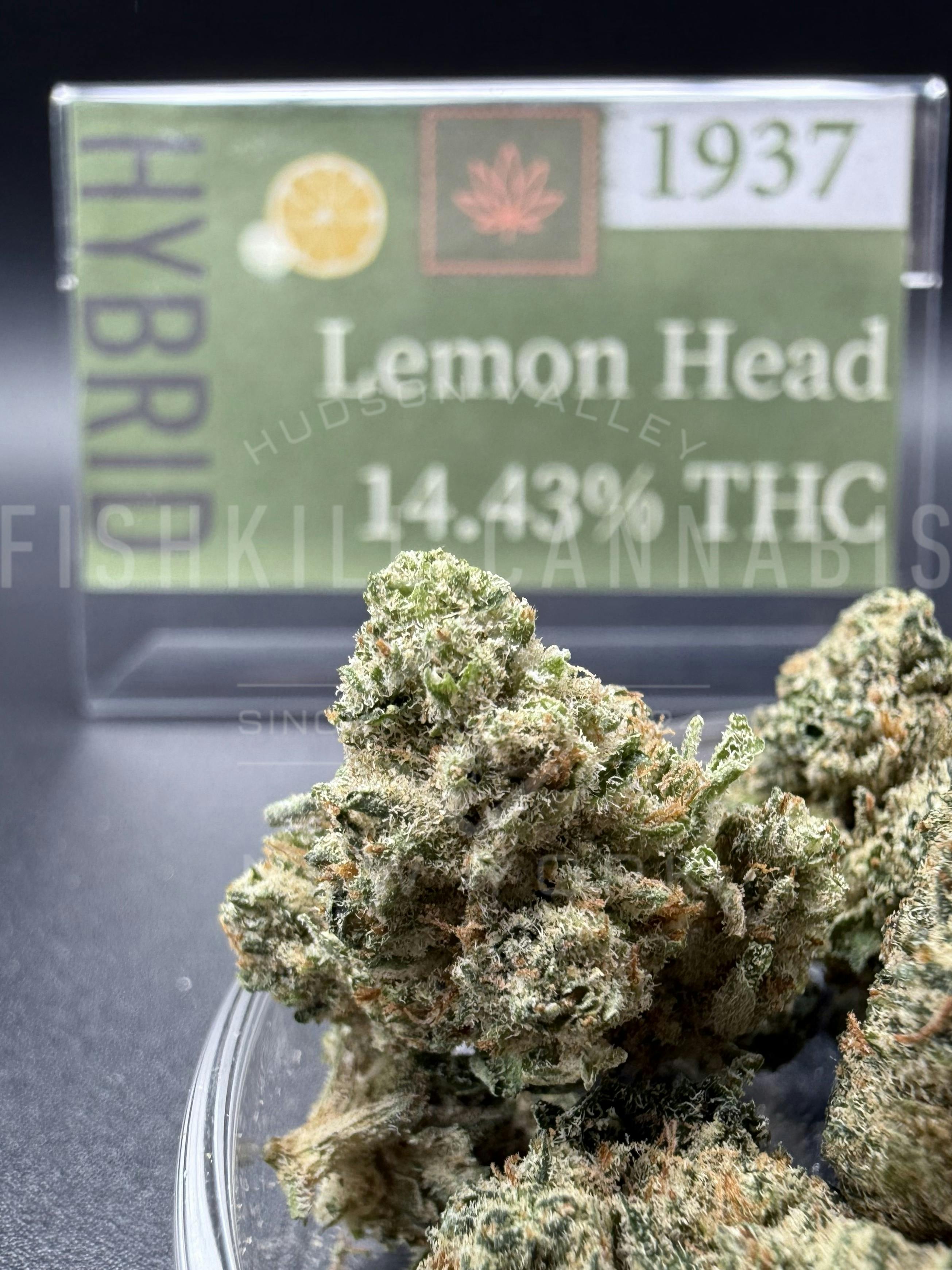 Lemon Head - 3.5g Flower - 1937