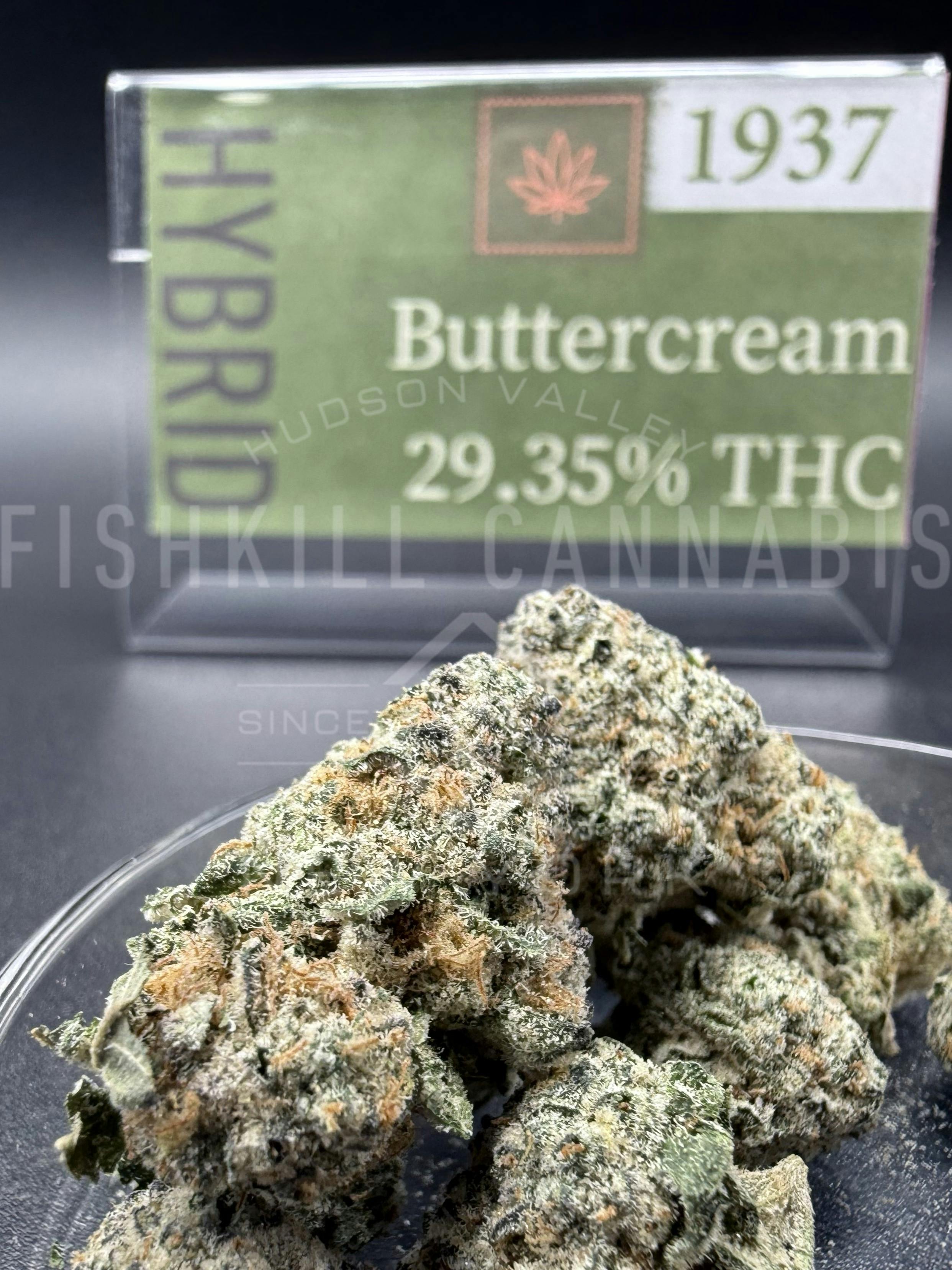 Buttercream - 3.5g Flower - 1937