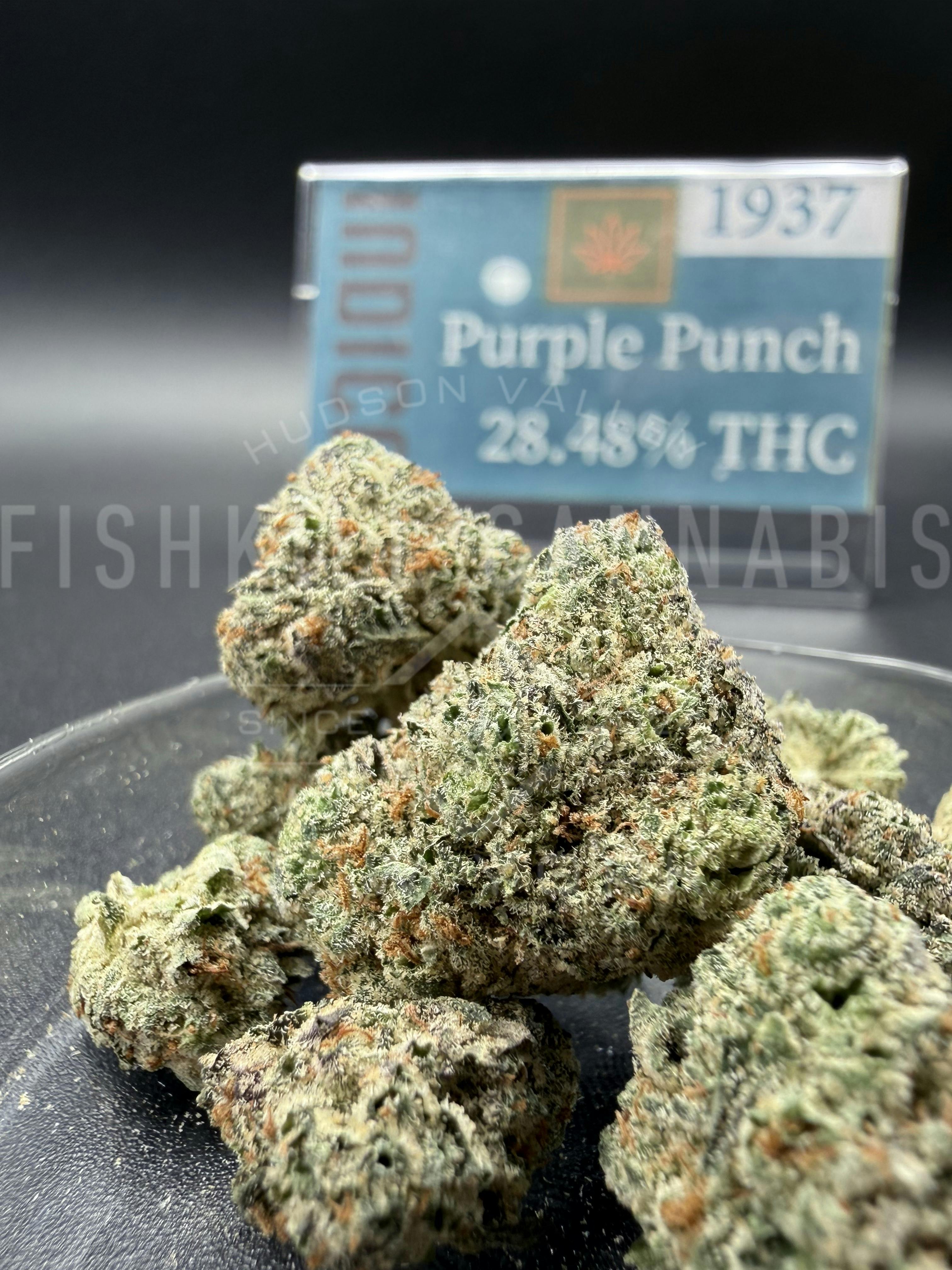 Purple Punch - 3.5g Flower - 1937