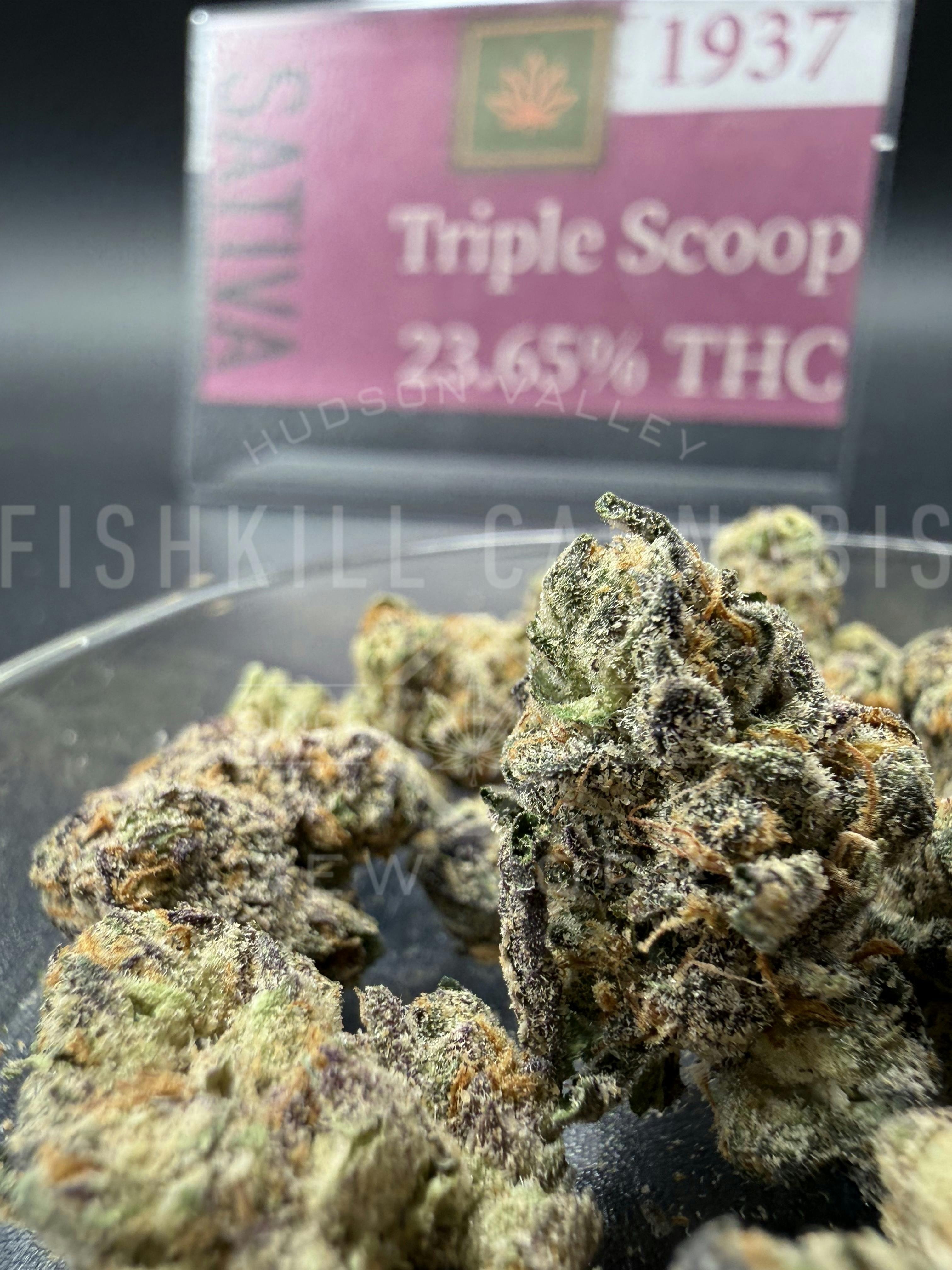 Triple Scoop - 3.5g Flower - 1937