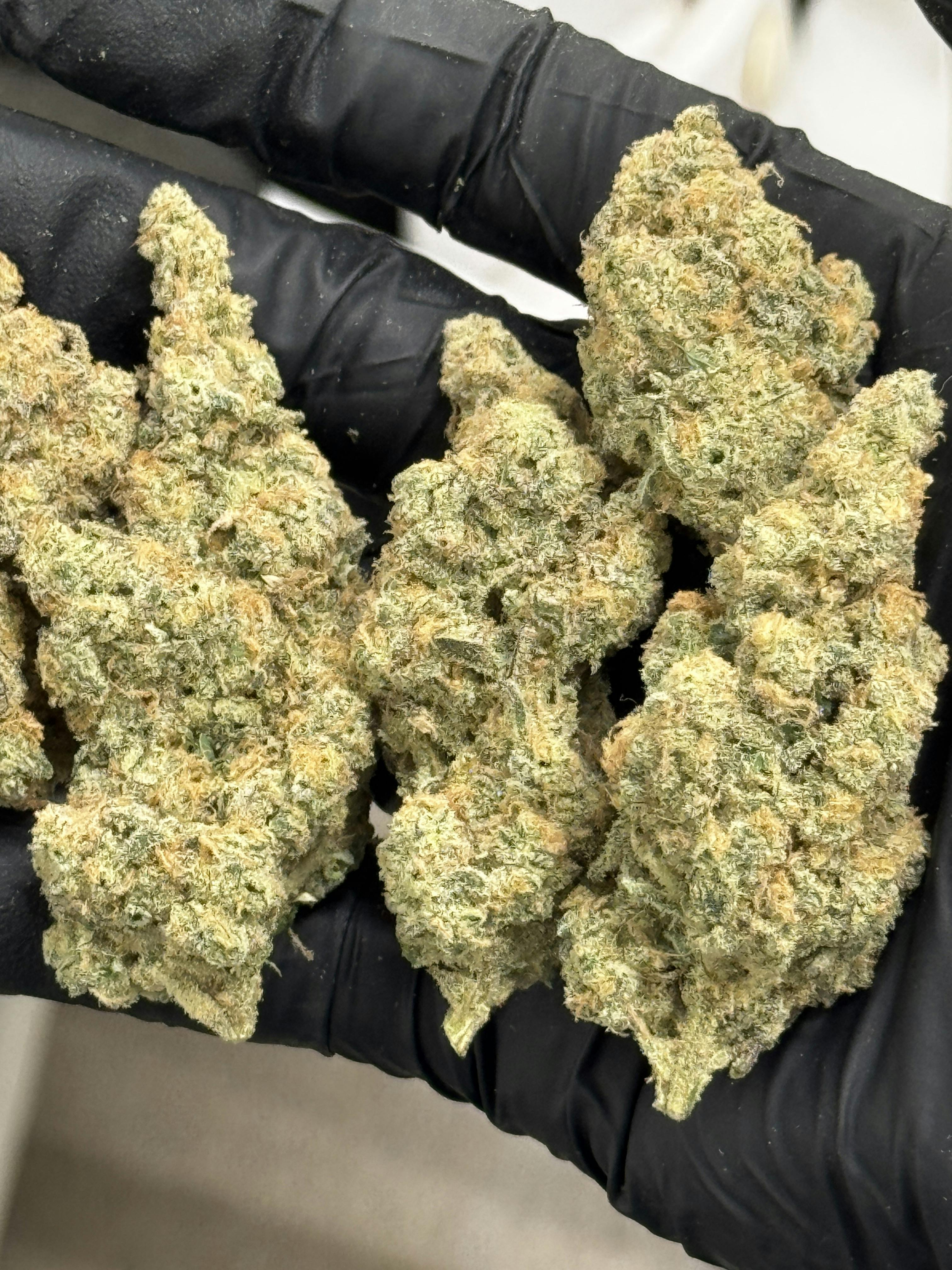 Flower (Deli-Style) l Commando | Hybrid l New Lyfe