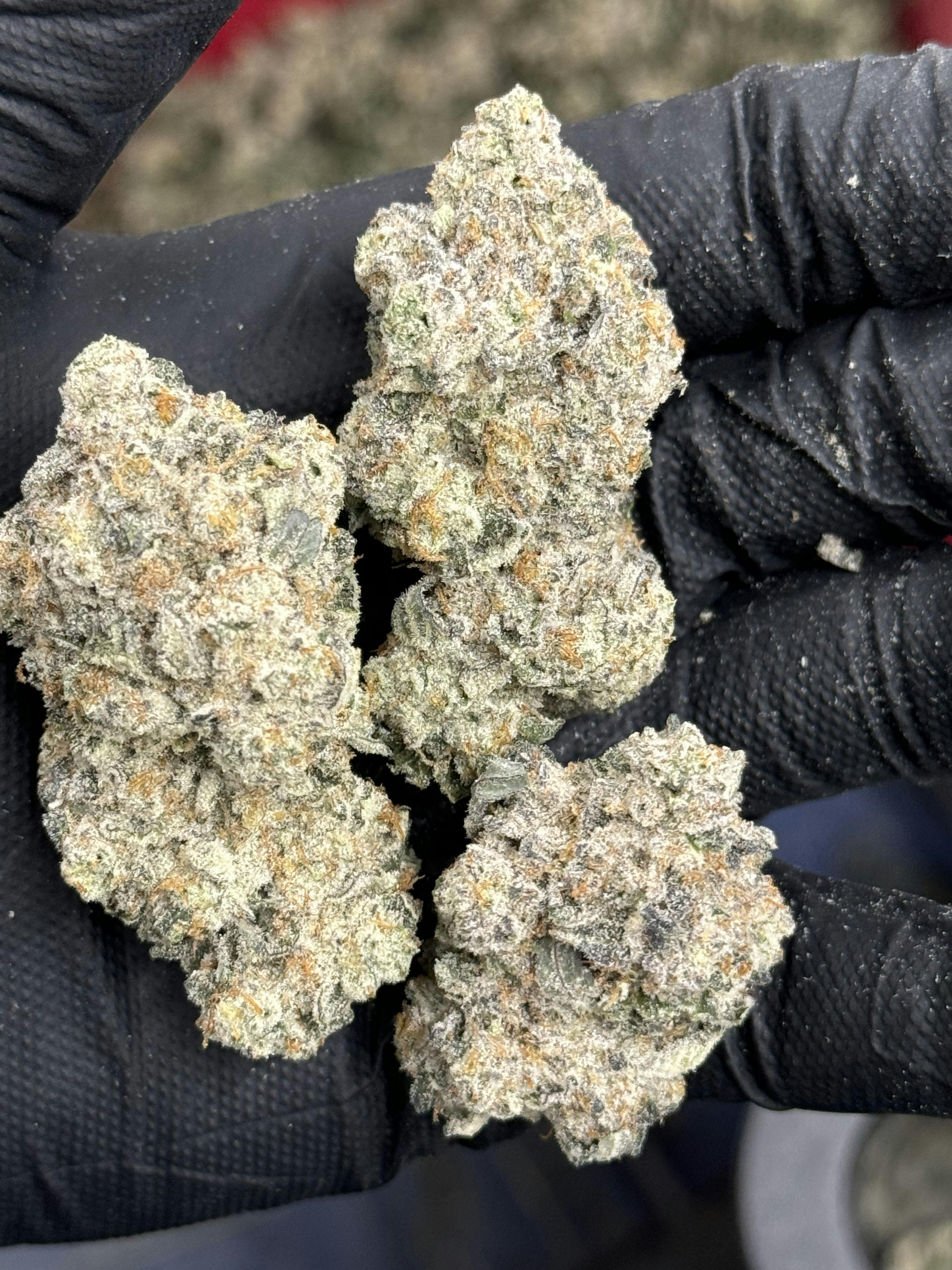 Flower (Deli-Style) l Juicee J | Hybrid l New Lyfe