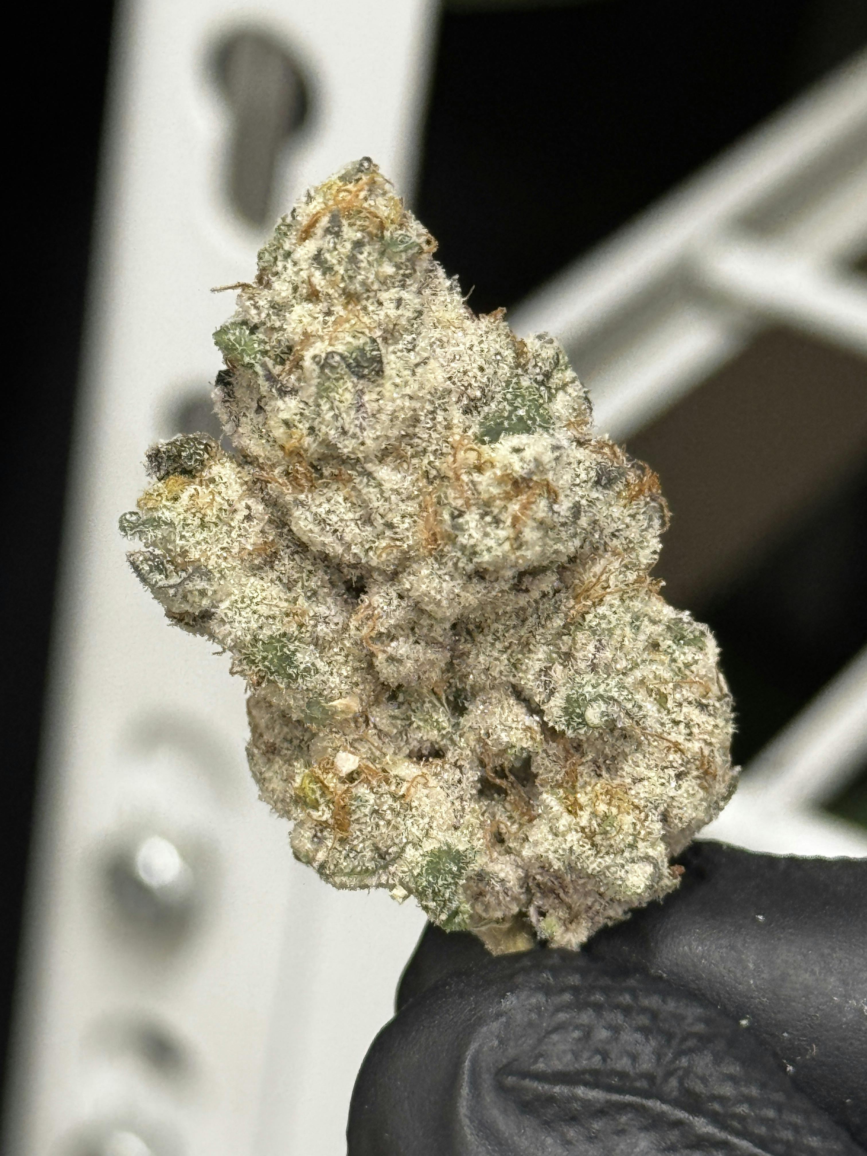 Flower (Deli-Style) l Kush Kookies | Hybrid l New Lyfe