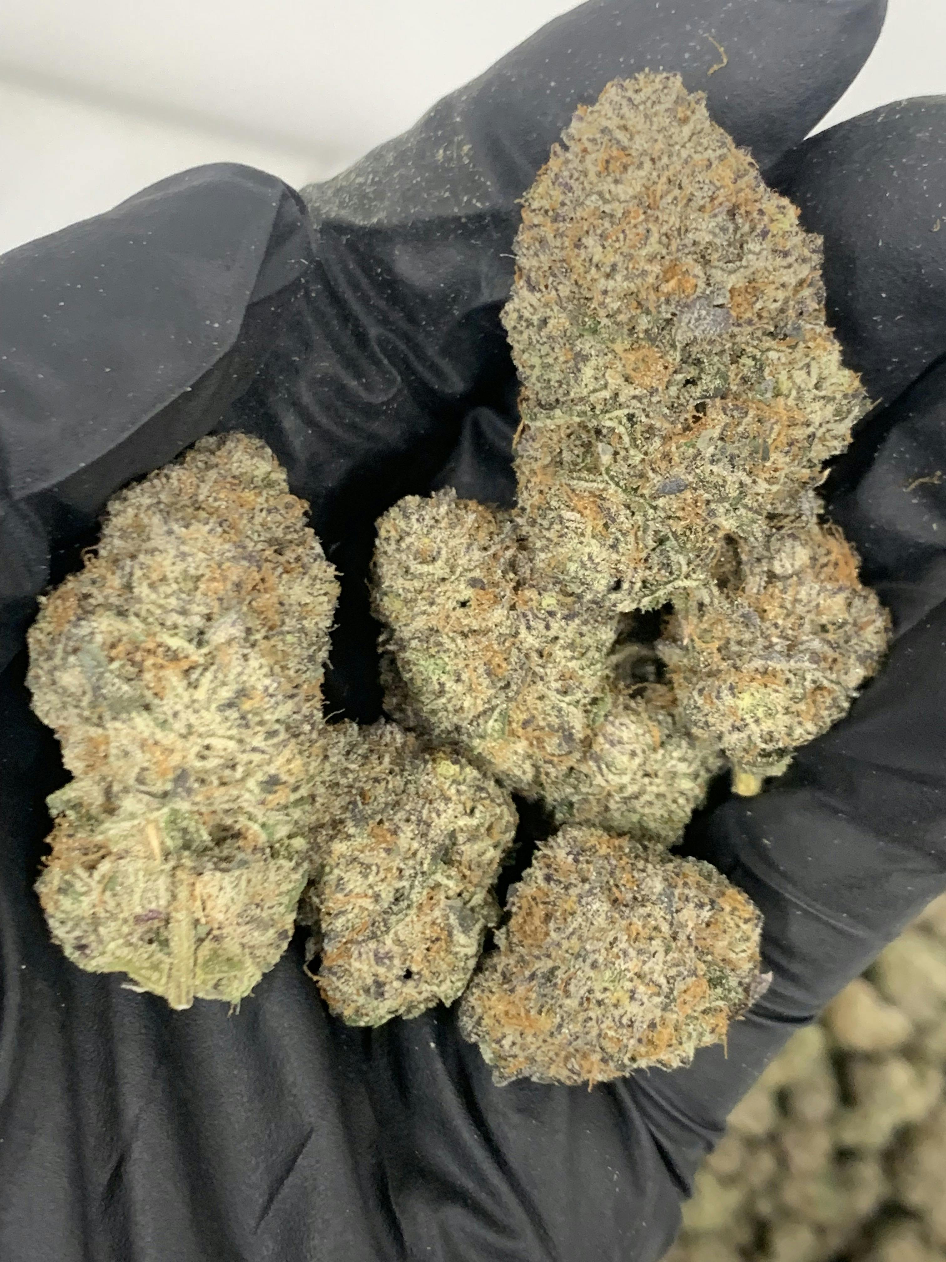 Flower (Deli-Style) l Jokerz | Indica l New Lyfe