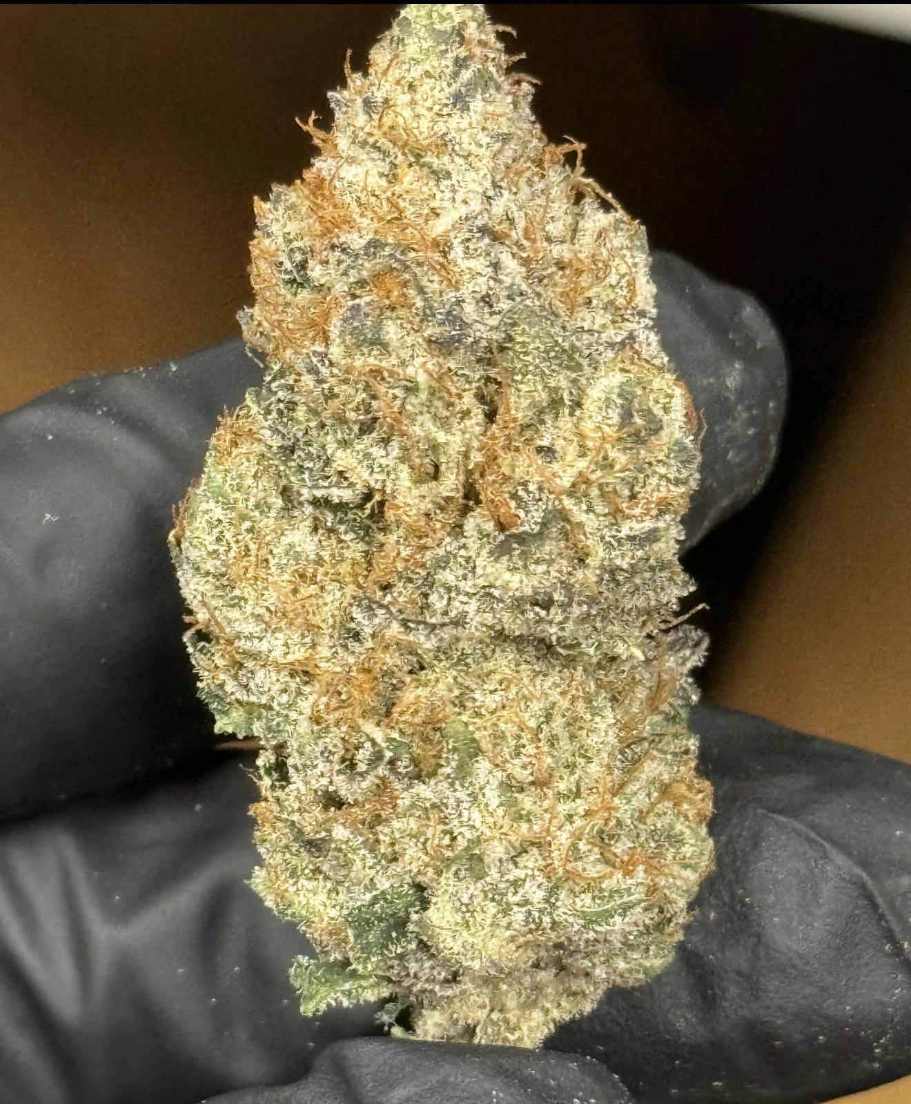 Flower (Deli-Style) l Lemon Fire Runtz | Hybrid l New Lyfe