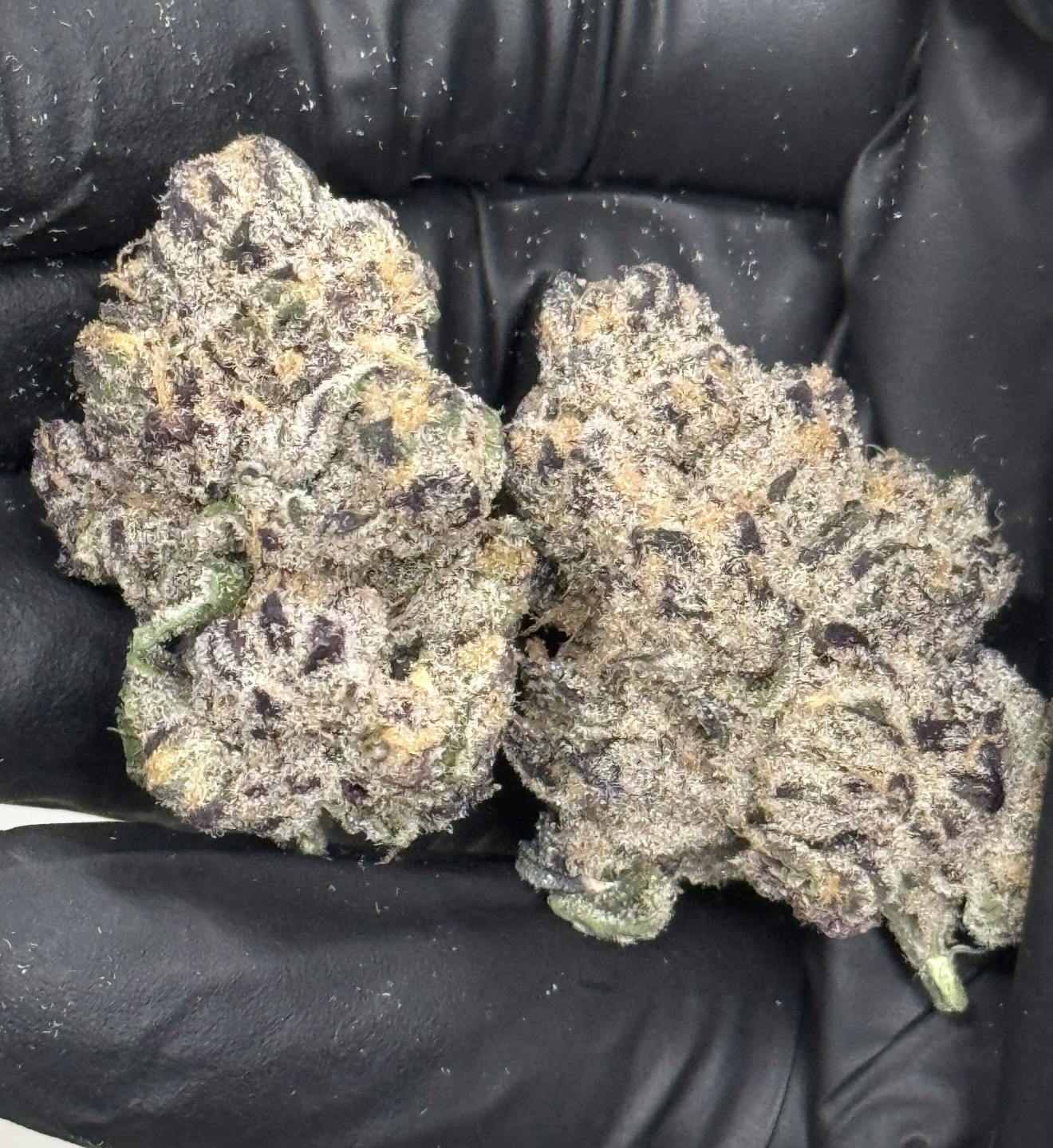 Flower (Deli-Style) l Pineapple Candy Barz | Hybrid l New Lyfe