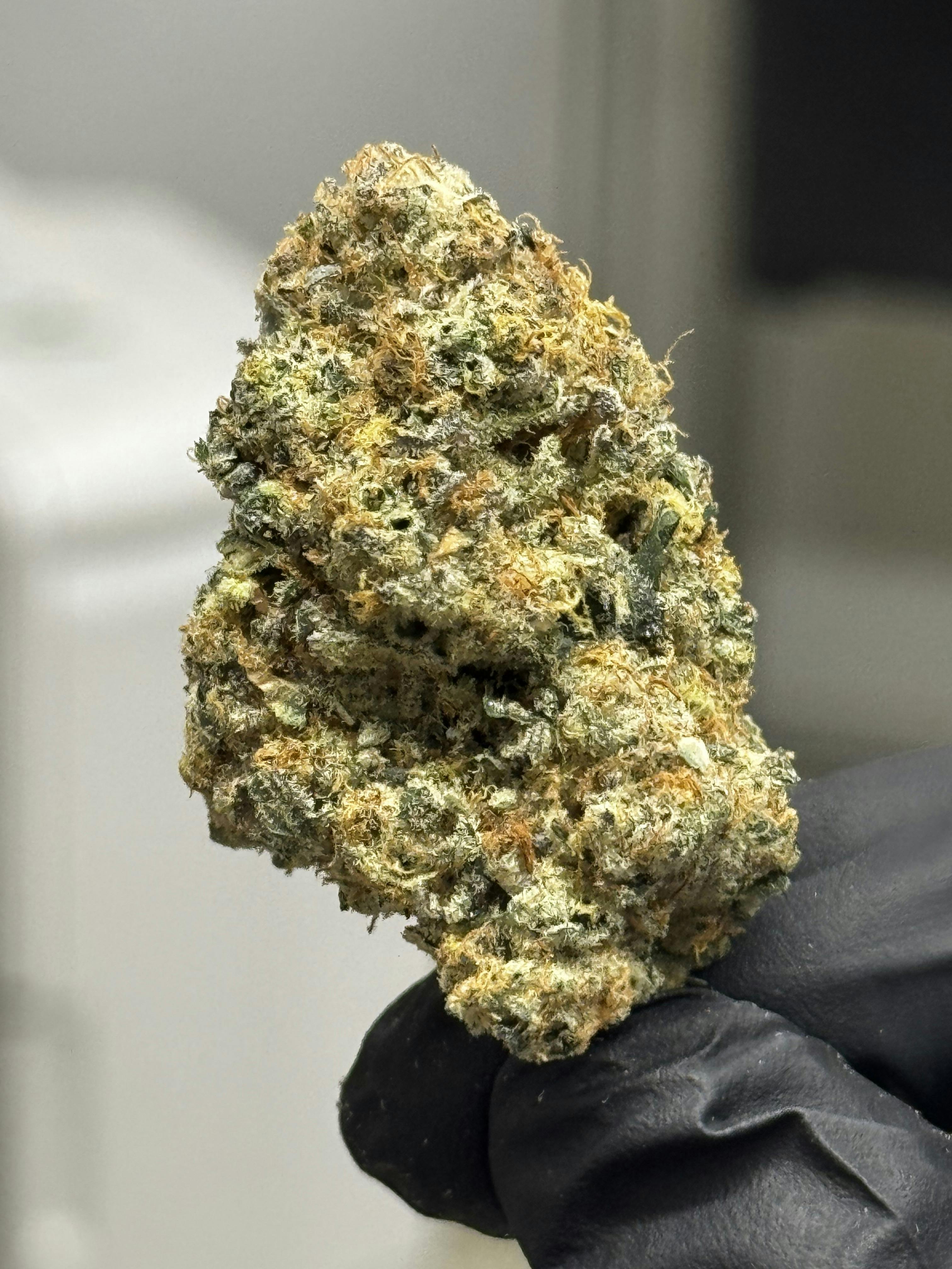 Flower (Deli-Style) l Baby Yodaa | Hybrid l New Lyfe