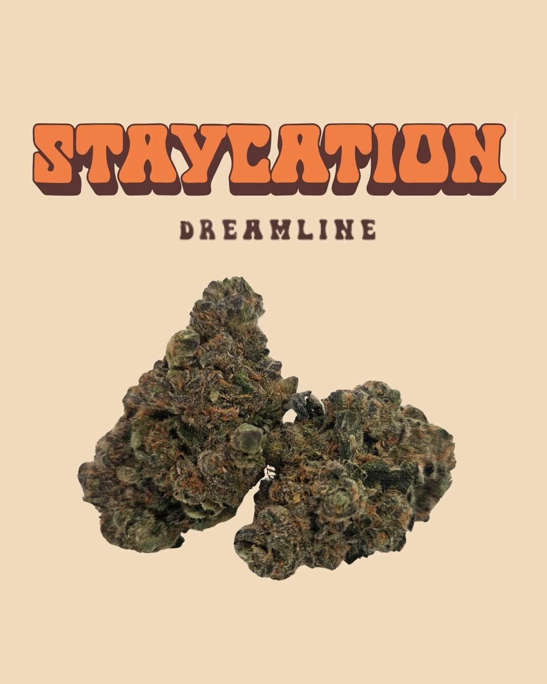 STAYCATION Dreamline 14G