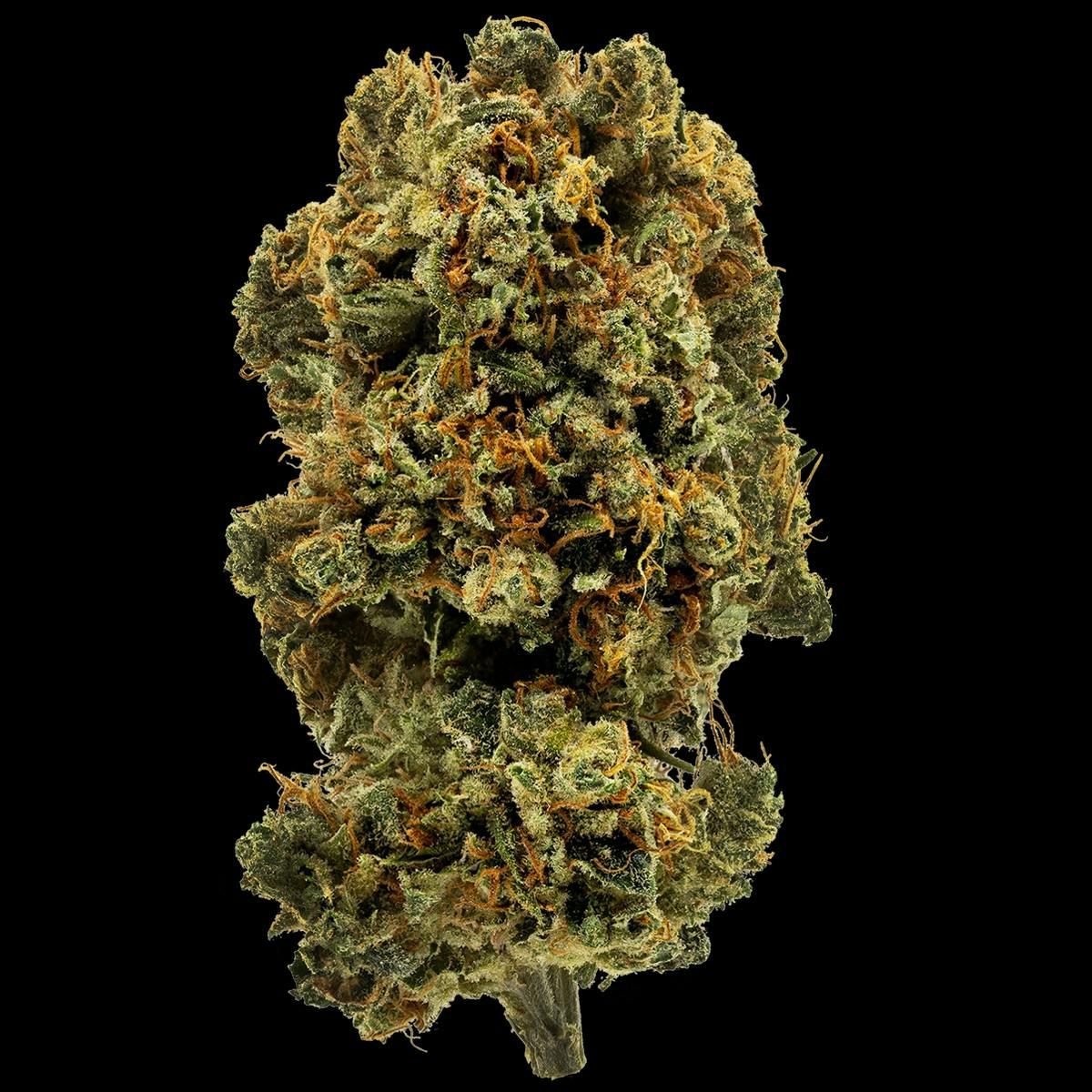 1964 Blue Dream PR5x0.5G