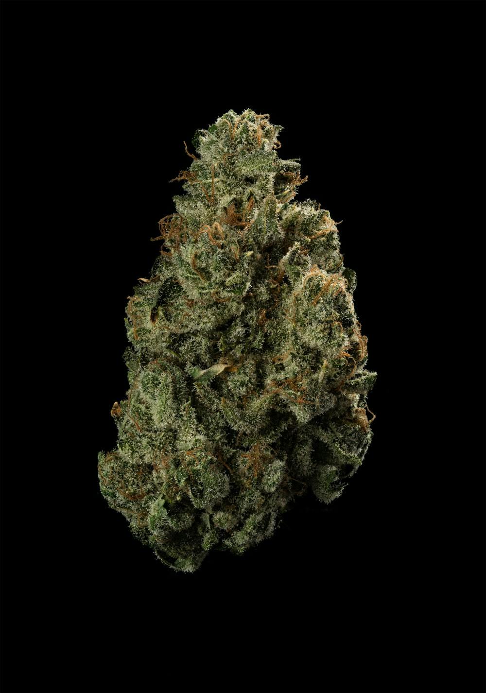FLORAKRAFT Dope Lemon 3.5g