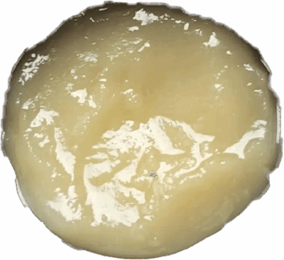 TWO HASH HOLES Rotating Single Source Live Rosin 1g