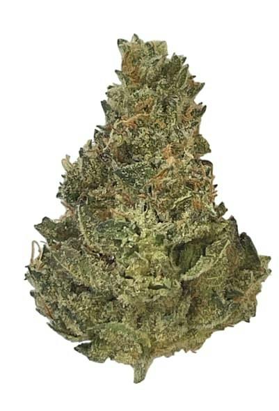 PRIME BLOOM Berries N Cream 7g