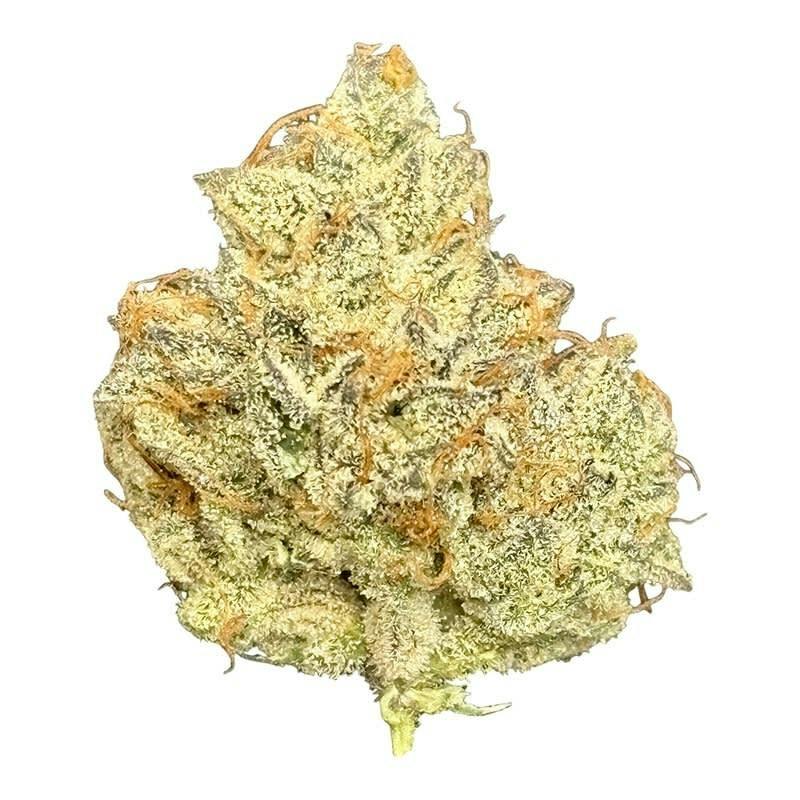 PRIME BLOOM The White 7g