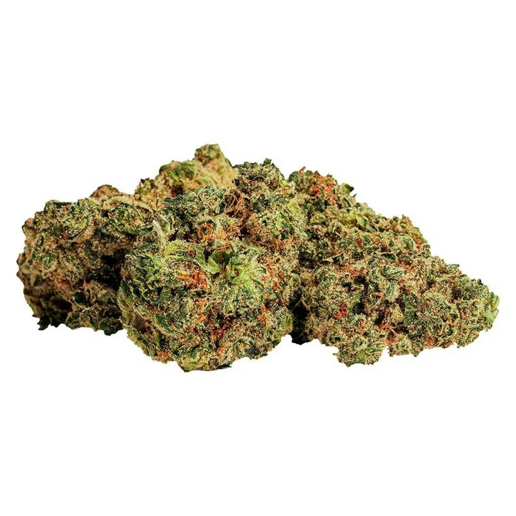 BOLD Root Beer 28g