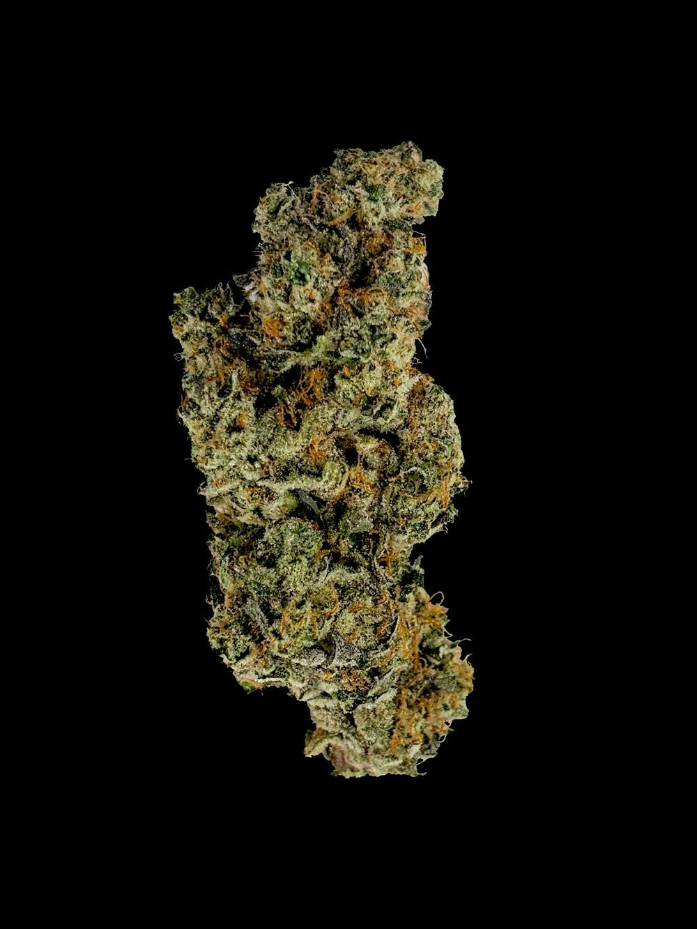 FLORAKRAFT Odour Freak PR10X0.5g