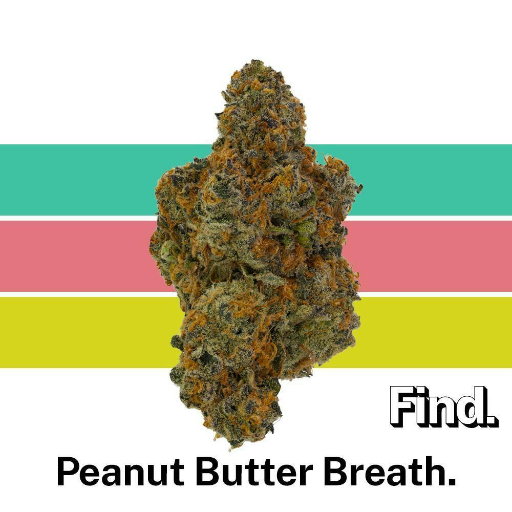 Find. Peanut Butter Breath Whole Flower 3.5g