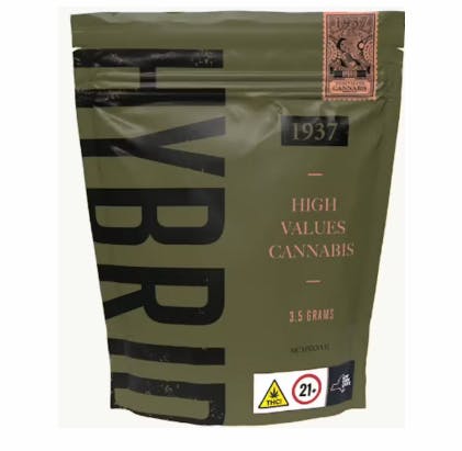 1937 - Large Bud - 3.5g Blue Slushie #3