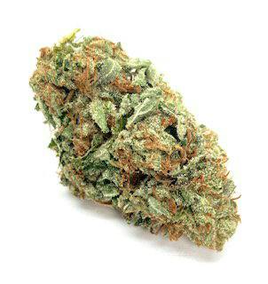 Cannaverse Solar Flare Ak