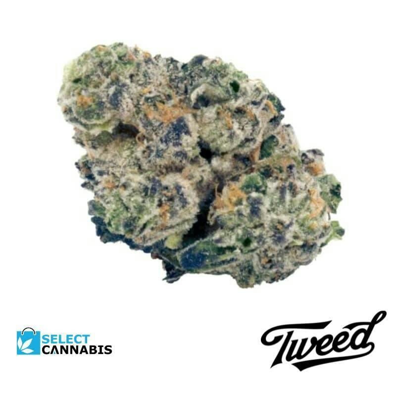 Tweed | Kush Mints Milled Flower | 7g