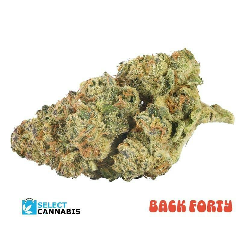 (7g)