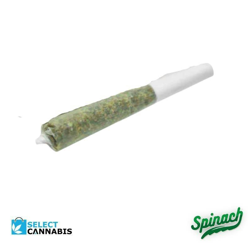 (1 x 0.5g)