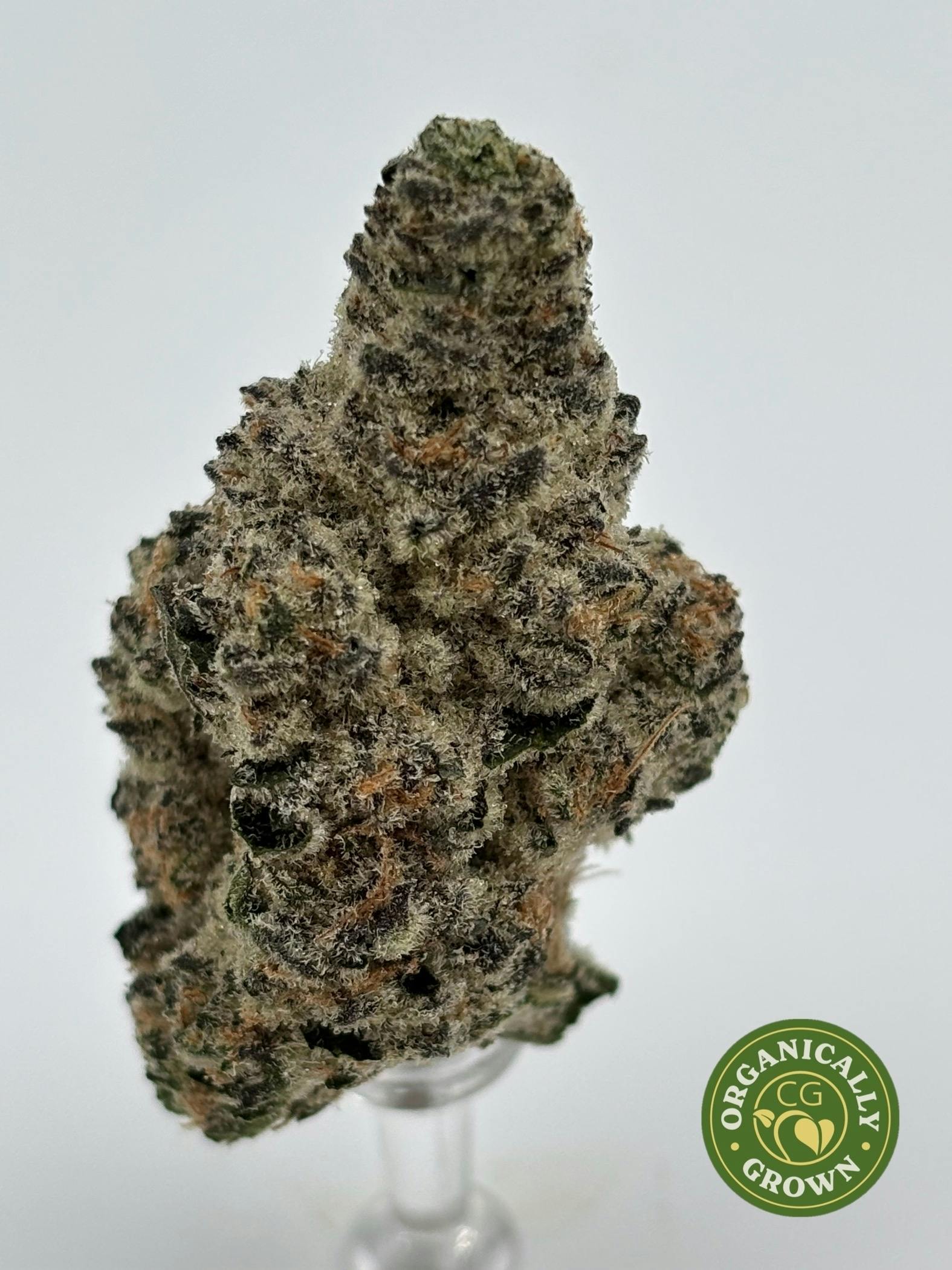 Higher Love Banana Junky Buds at Higher Love Cannabis Dispensary Munising