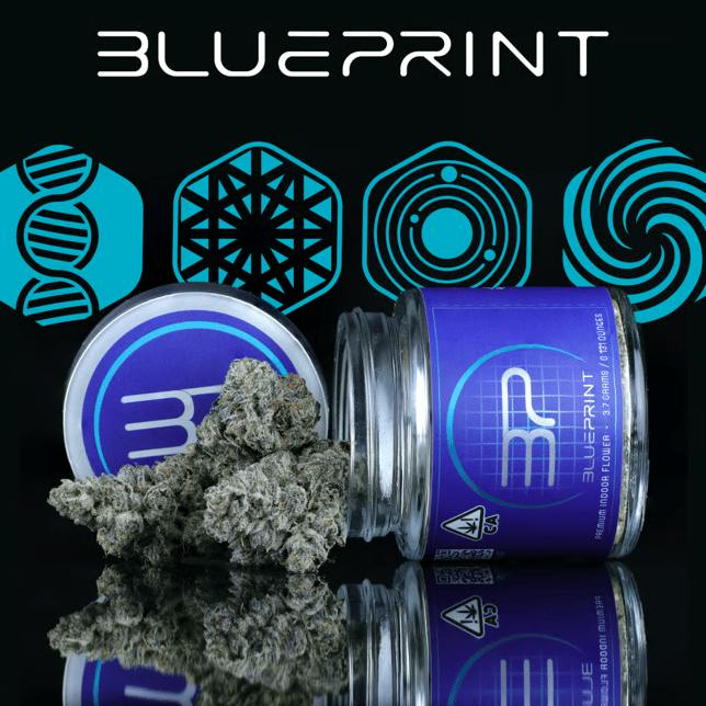 BLUEPRINT - LIMEZ - INDOOR - 3.5G