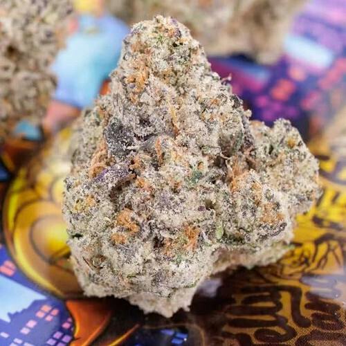TEDS BUDS - DINO DUCK - INDOOR - 3.5G