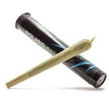 Polaris Bubba Kush Pre-Roll
